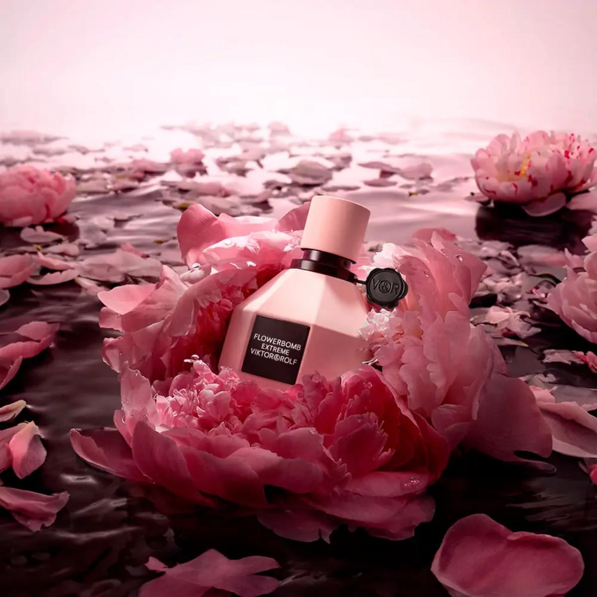 Ladies Flowerbomb Extreme Eau de Parfum – Edgars
