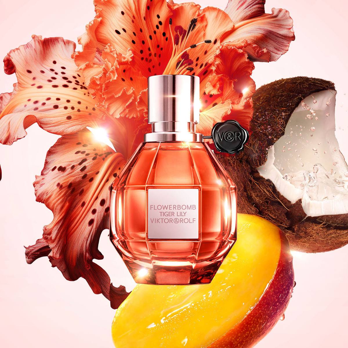 香水(女性用) Flowerbomb Midnight 50ml,tiger Lily10ml Ladies Flowerbomb Tiger Lily Eau De Parfum – Edgars