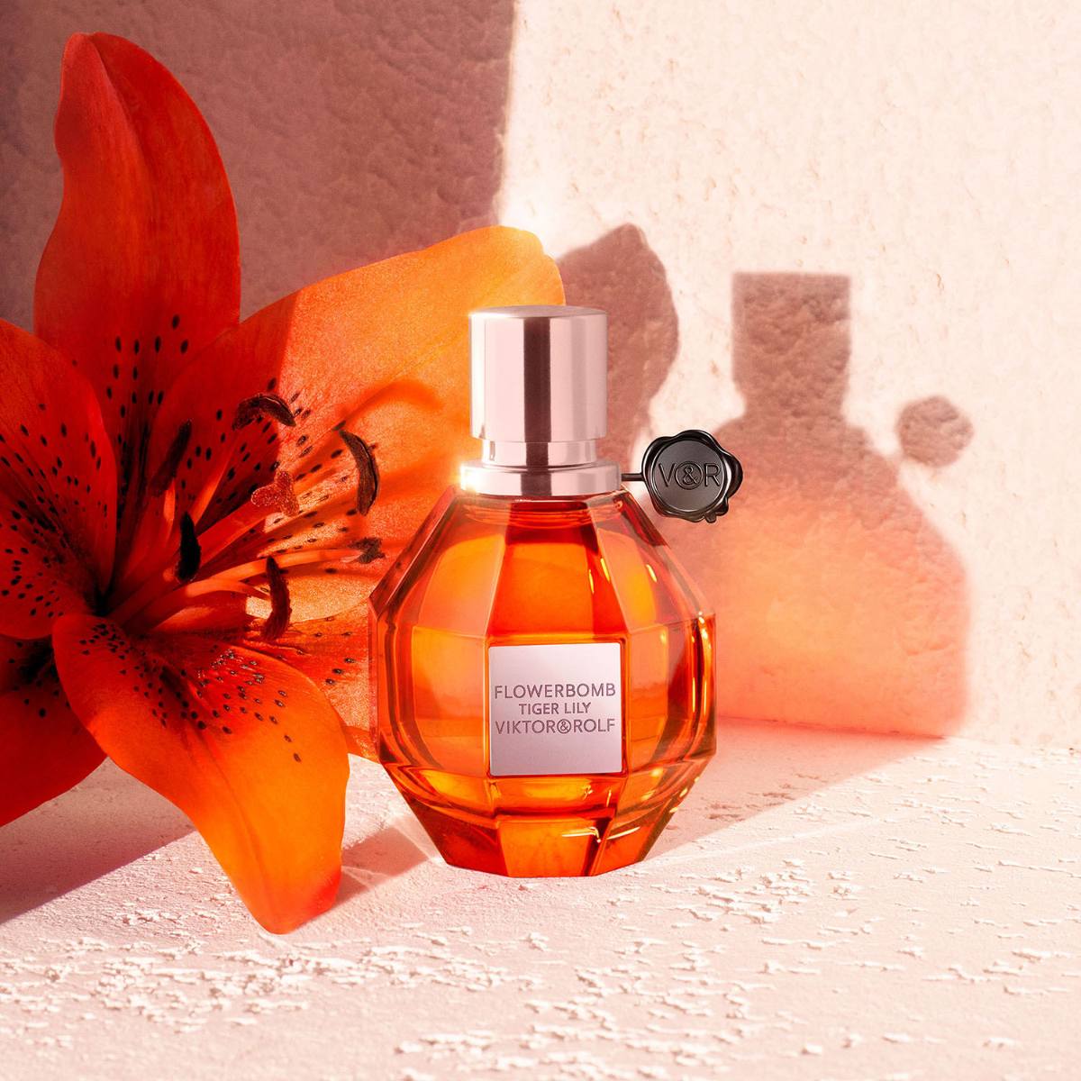 香水(女性用) Flowerbomb Midnight 50ml,tiger Lily10ml Ladies Flowerbomb Tiger Lily Eau De Parfum – Edgars
