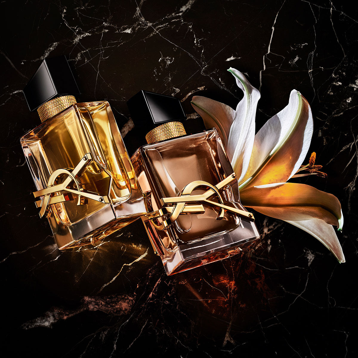 m*u様 Yves Saint Laurent LIBRE 50ml パルファム Ladies Libre Flowers & Flames Eau De Parfum – Edgars