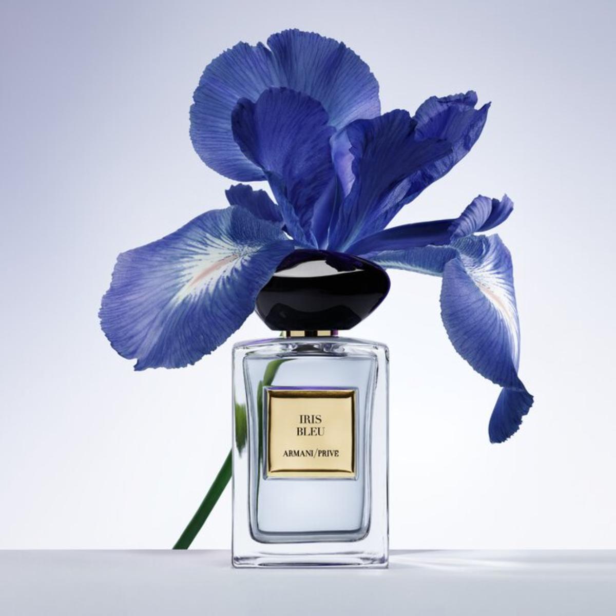 Armani Privé イリス ブルー Iris Bleu (100ml) Ladies Privé Iris Bleu Eau de Toilette – Edgars