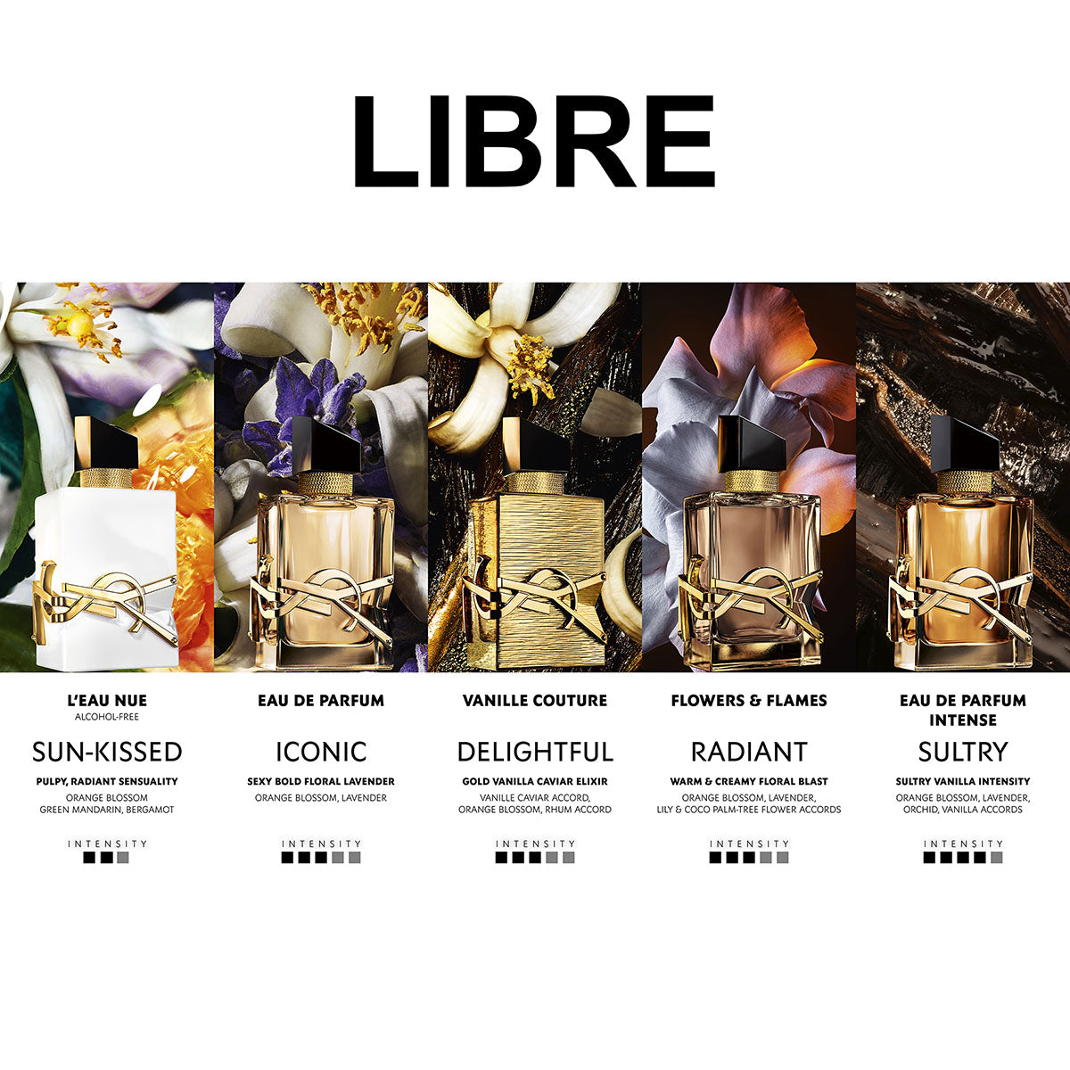 Ladies Libre Couture Eau de Parfum - Limited Edition – Edgars