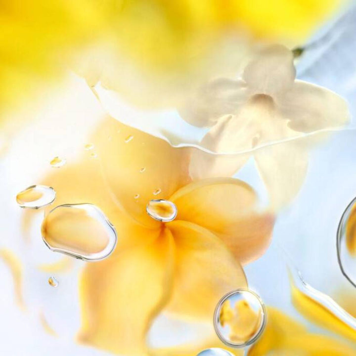 Ô Zenith Eau de Toilette