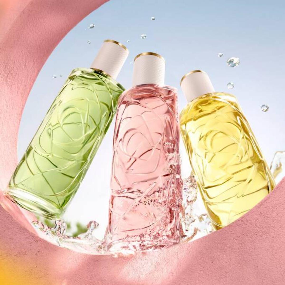 Ladies Ô Zenith Eau de Toilette – Edgars