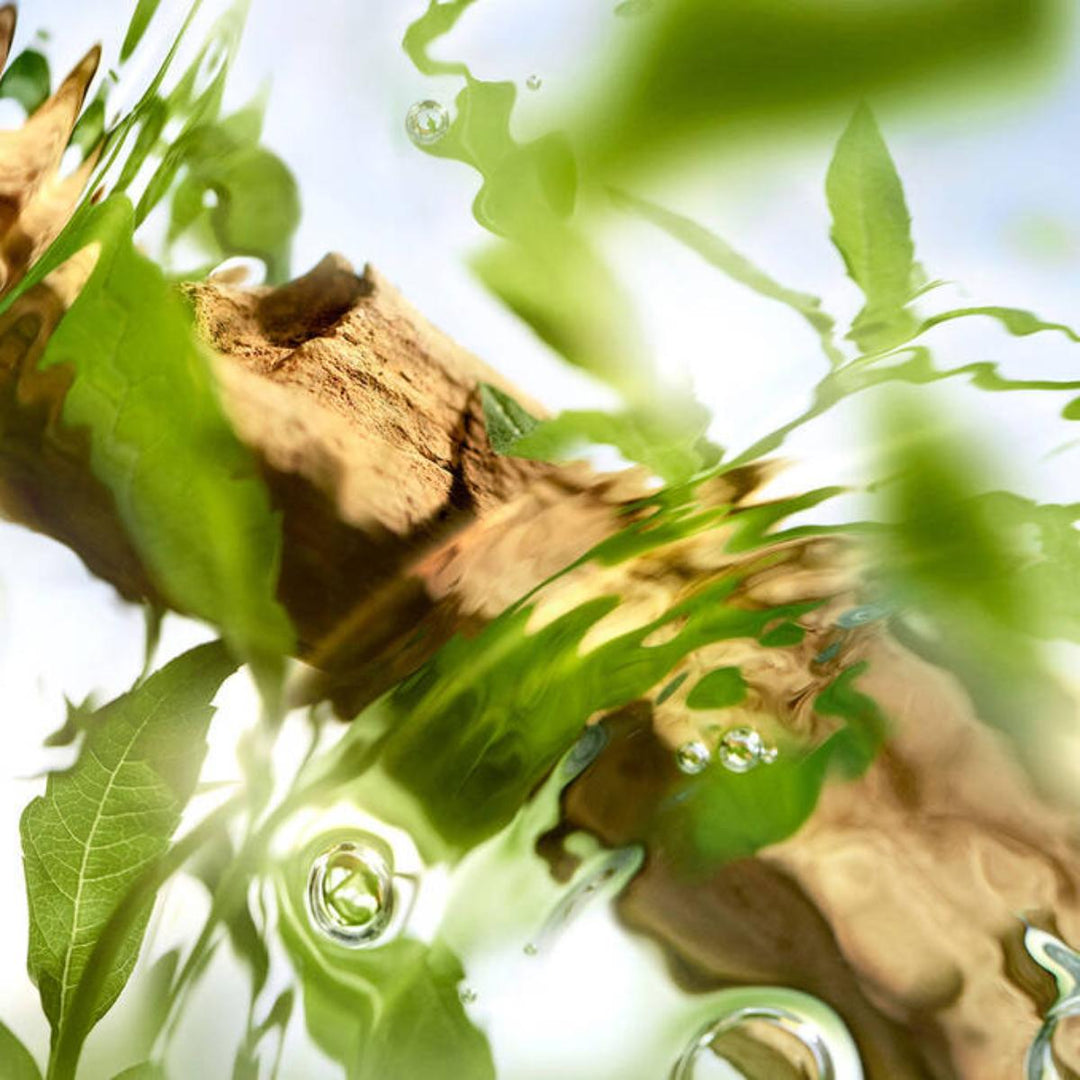 Ôff Now Eau de Toilette