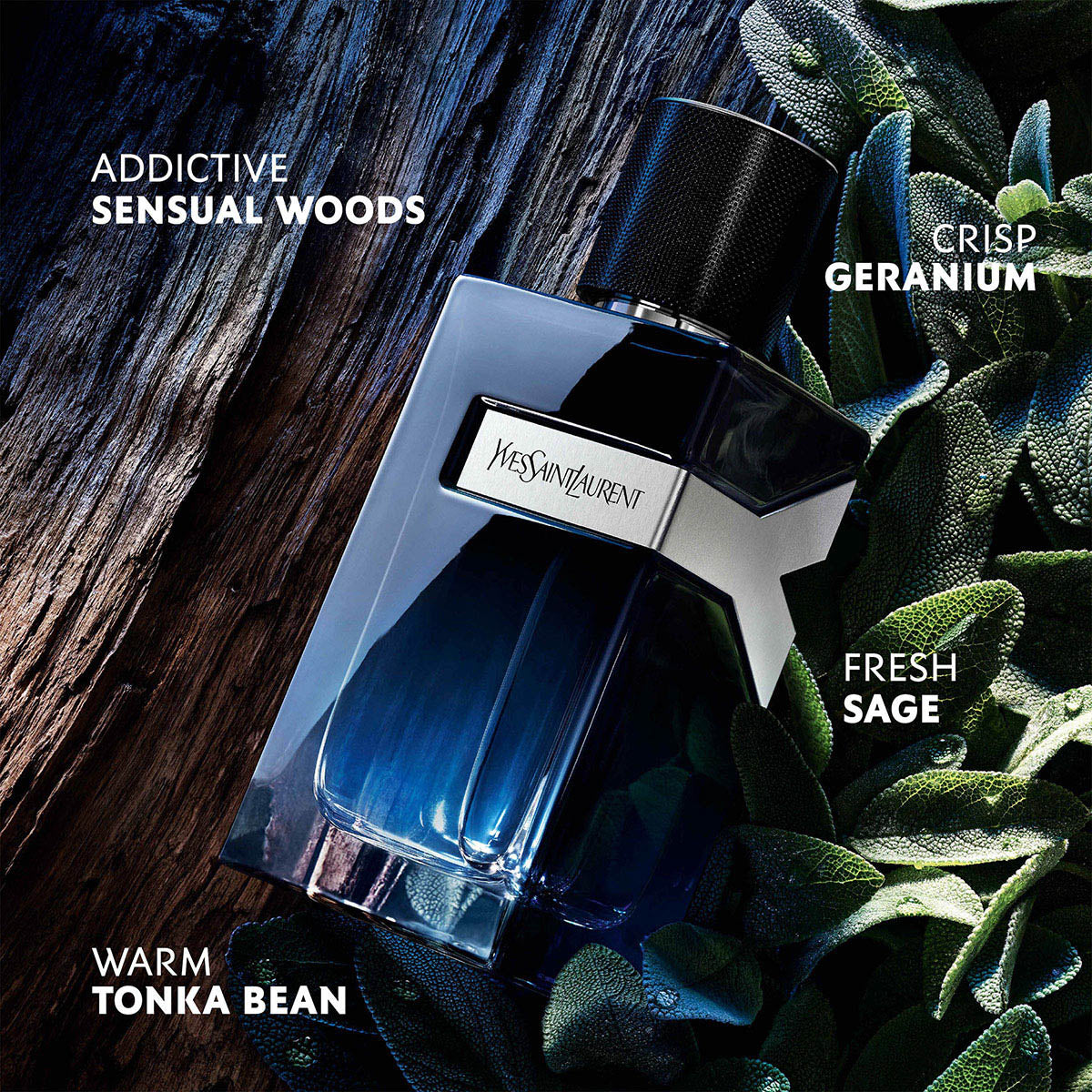 Mens Y Eau De Parfum 100ml Giftset – Edgars