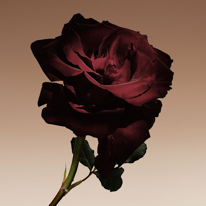 Prive Cuir Nu Eau de Parfum