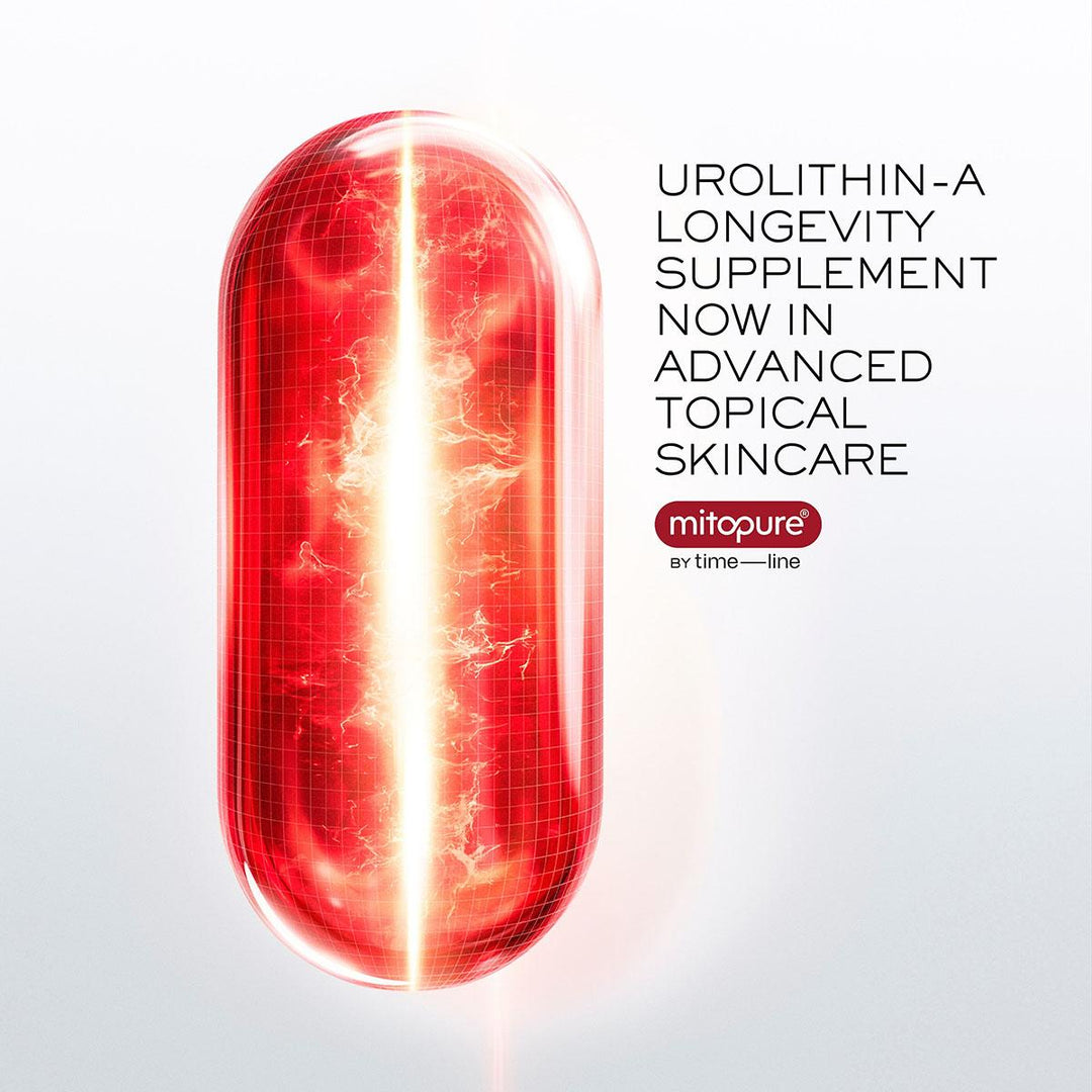 Absolue Longevity MD Intercept The Serum