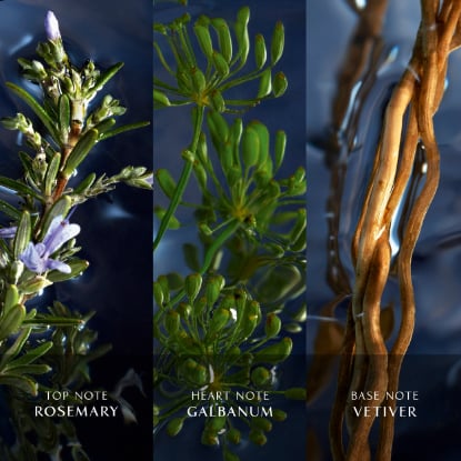 Cool Water Reborn Eau De Toilette