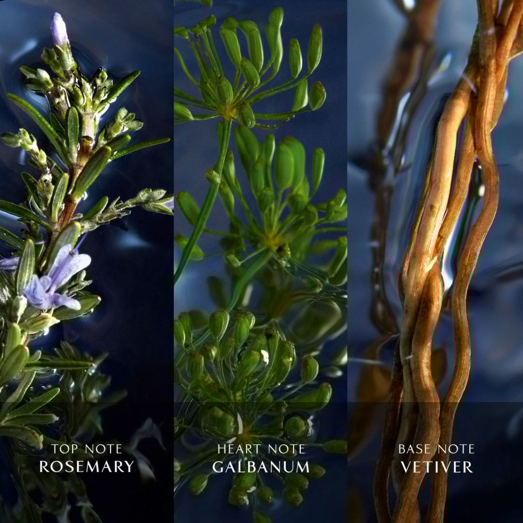 Cool Water Reborn Eau De Toilette