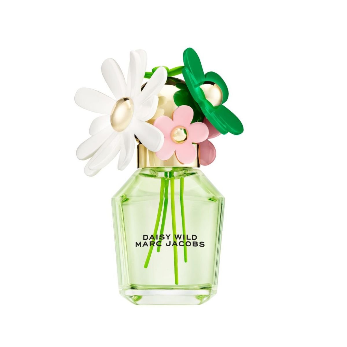 香水(女性用) DAISY WILD MARC JACOBS 50ml Ladies Daisy Wild Eau de Parfum – Edgars