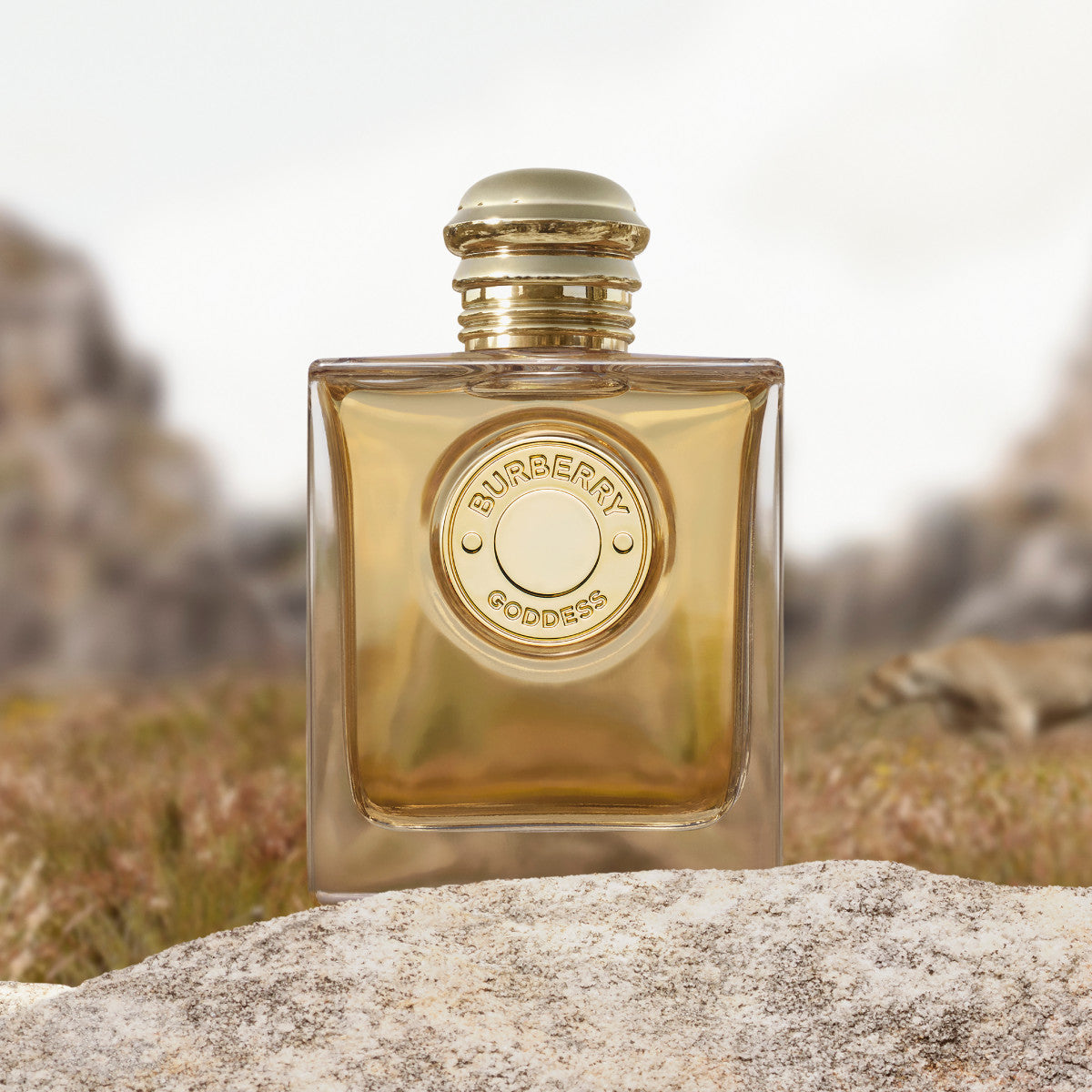 Burberry Goddess 30ml パルファム Ladies Goddess Eau de Parfum Intense – Edgars