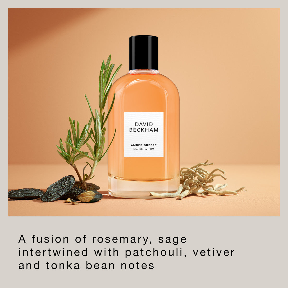 Mens Amber Breeze - Eau de Parfum for Him – Edgars