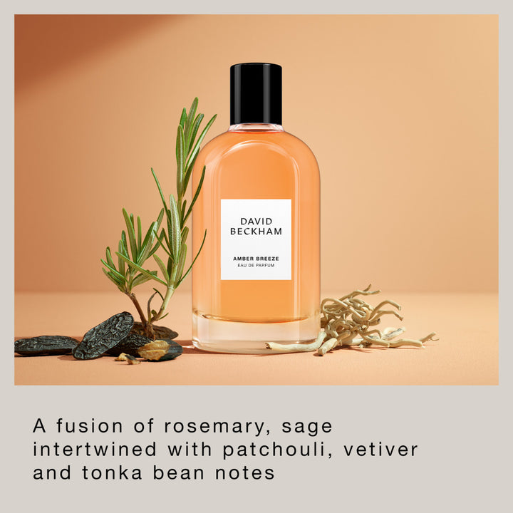 Amber Breeze - Eau de Parfum for Him
