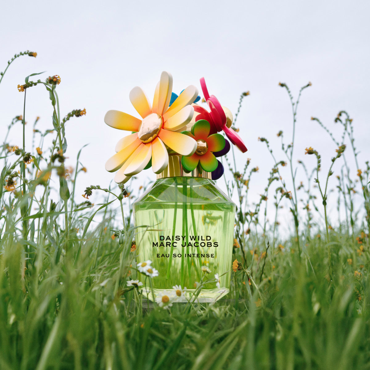 香水DAISY WILD 50ML & EAU SO INTENSE 2本セット Ladies Daisy Wild Eau So Intense Eau de Parfum – Edgars
