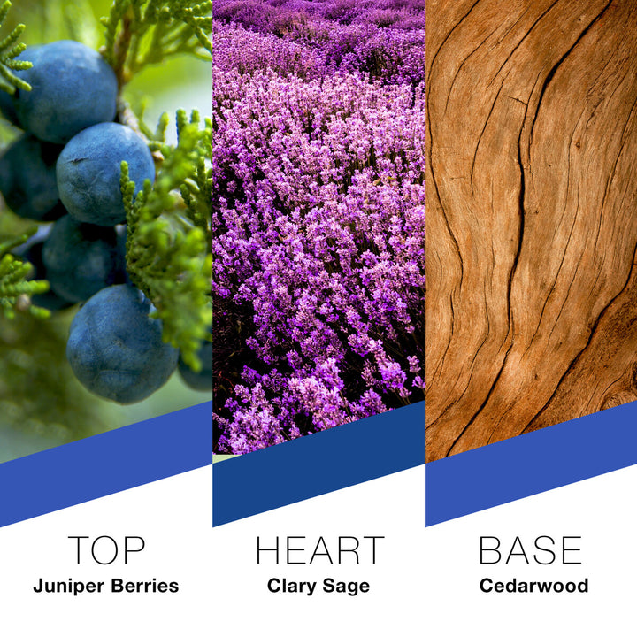 Prêt à Porter New York Eau de Parfum For Men, 100ml