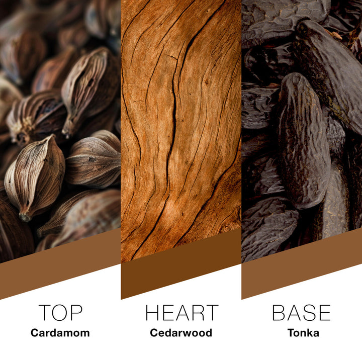 Prêt à Porter Berlin Eau de Parfum For Men, 100ml