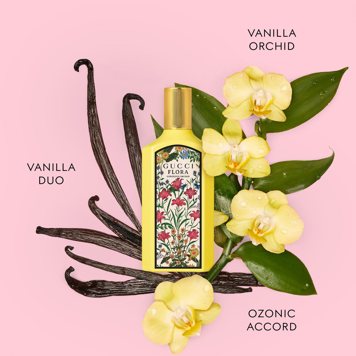 Ladies Flora Gorgeous Orchid Eau De Parfum – Edgars