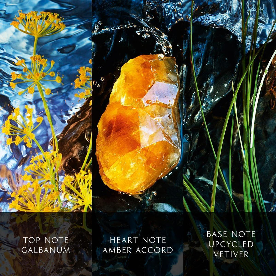 Cool Water Reborn Intense Male Eau De Parfum