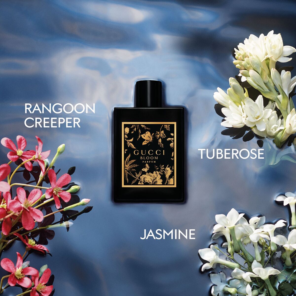 Ladies Gucci Bloom Parfum – Edgars