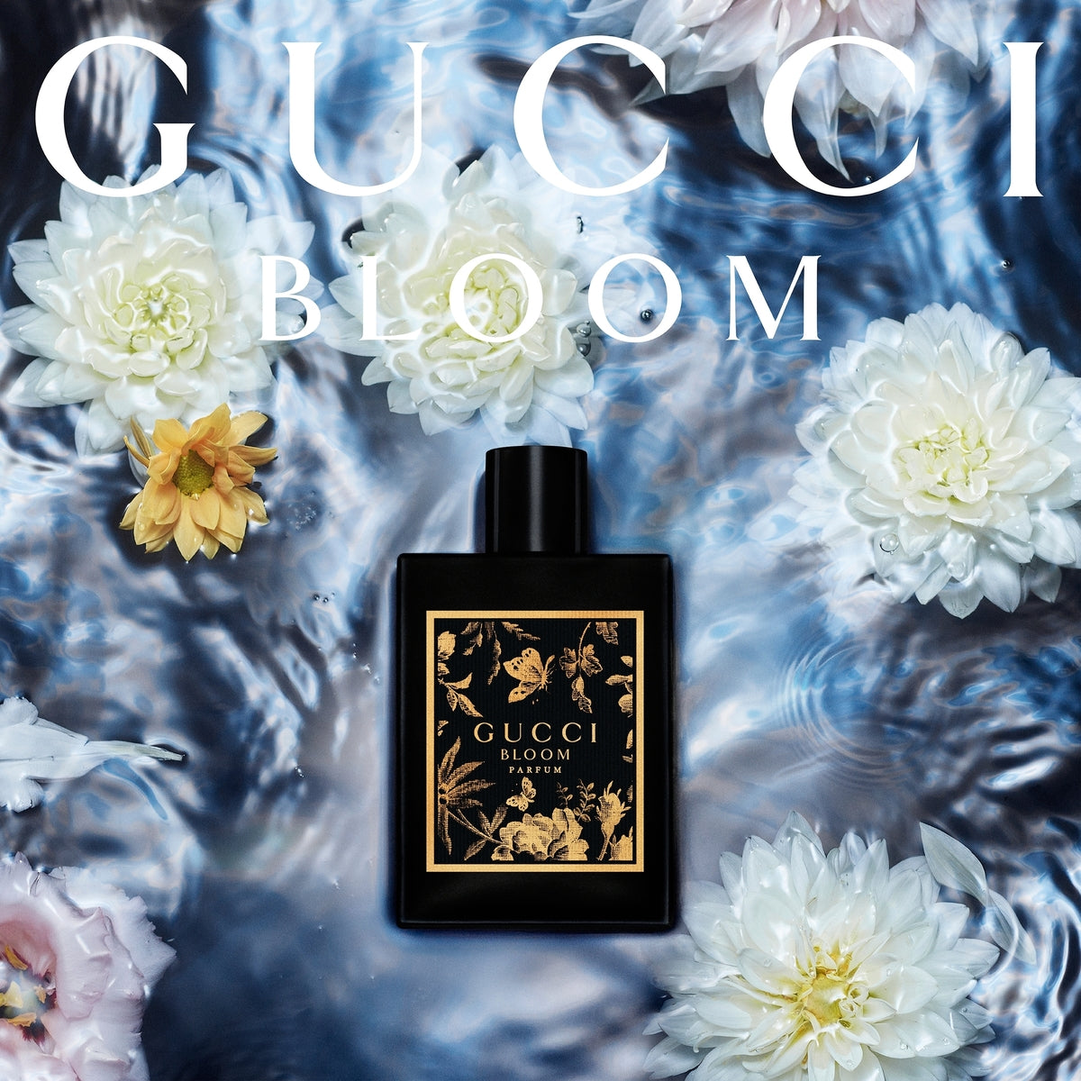 Ladies Gucci Bloom Parfum – Edgars