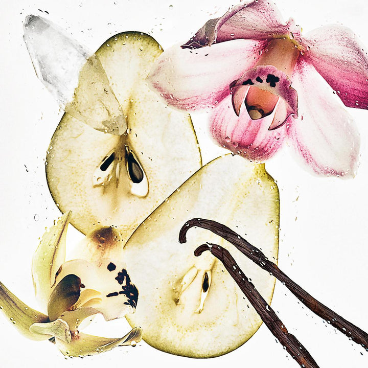 Nude Vanilla Hair & Body Perfume Mist