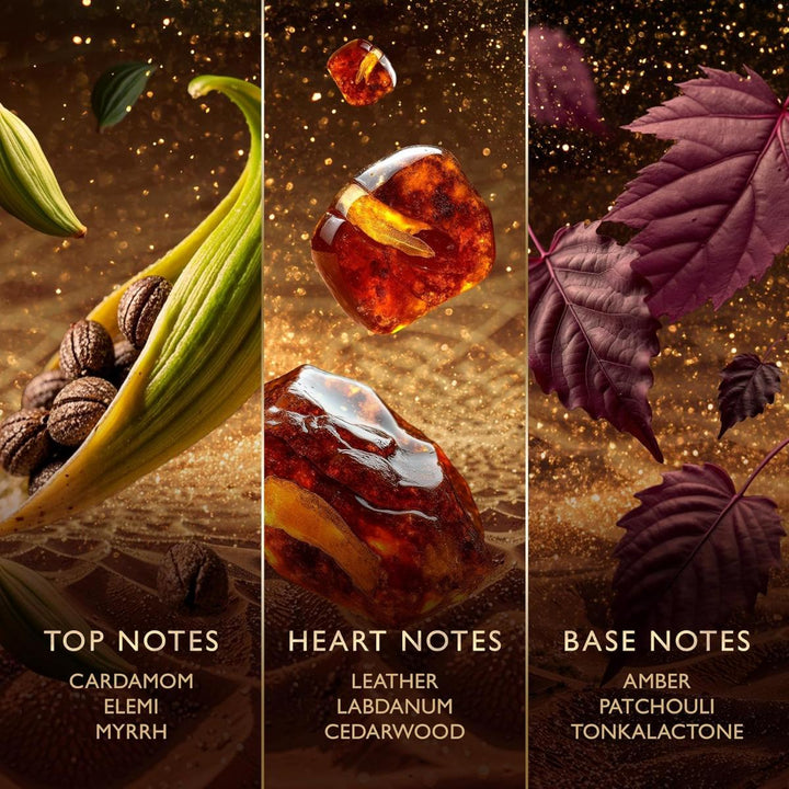 Amberwood Nomad Eau de Parfum