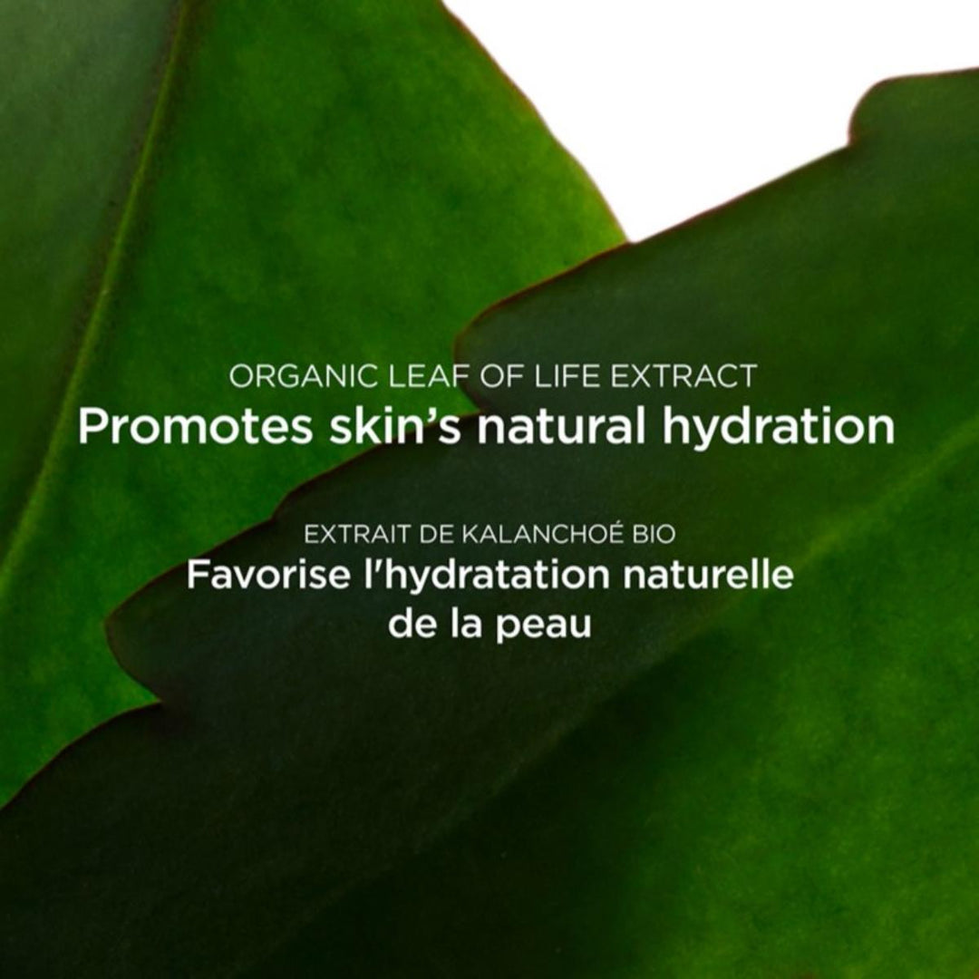 Fresh Scrub Refreshing Cream Scrub - Refreshing, Exfoliating + Hydrating