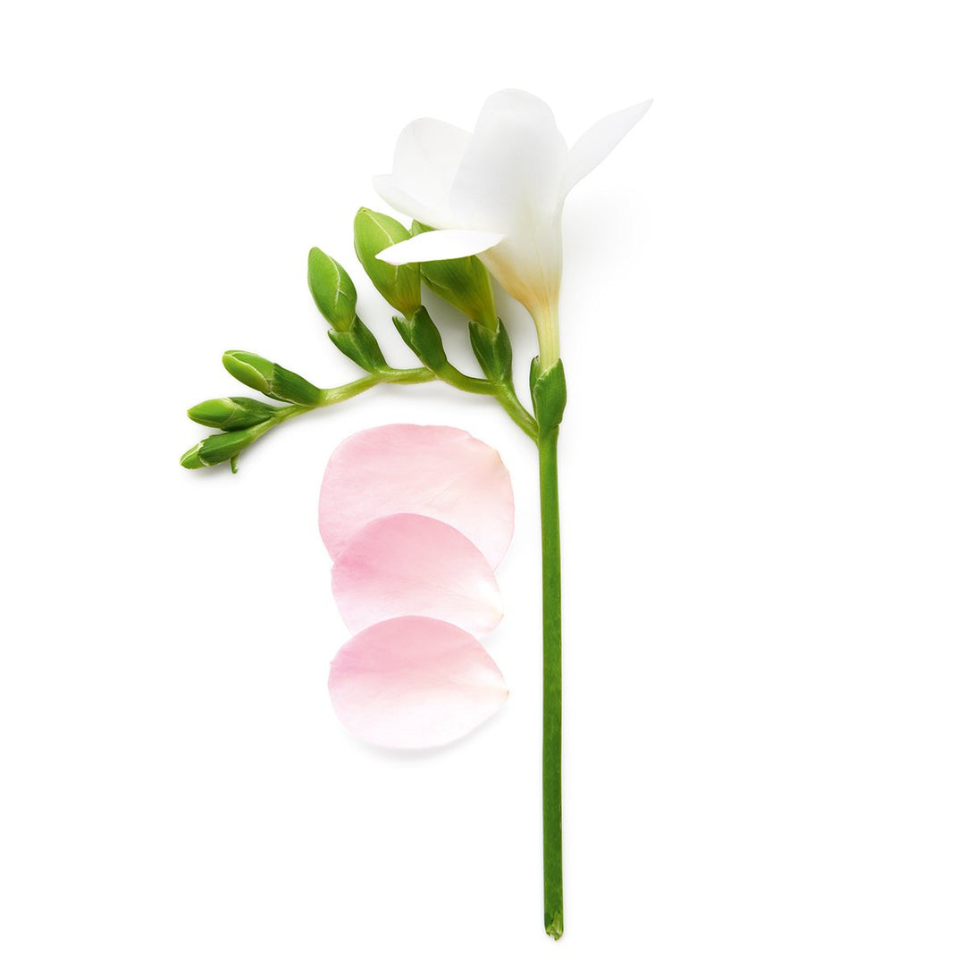 Armani - Si Eau de Toilette Spray