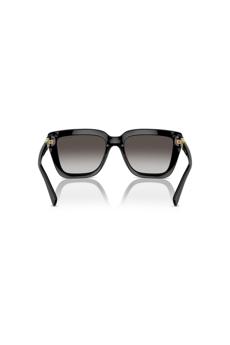 Brown Lens Sunglasses - Black