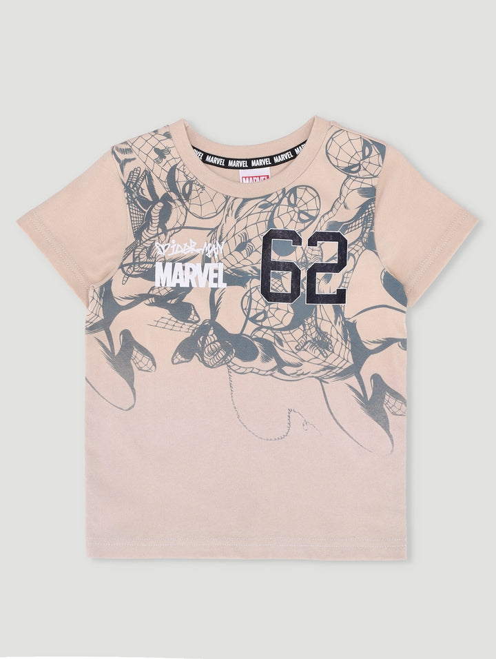 Spiderman Graffiti Tee - Stone
