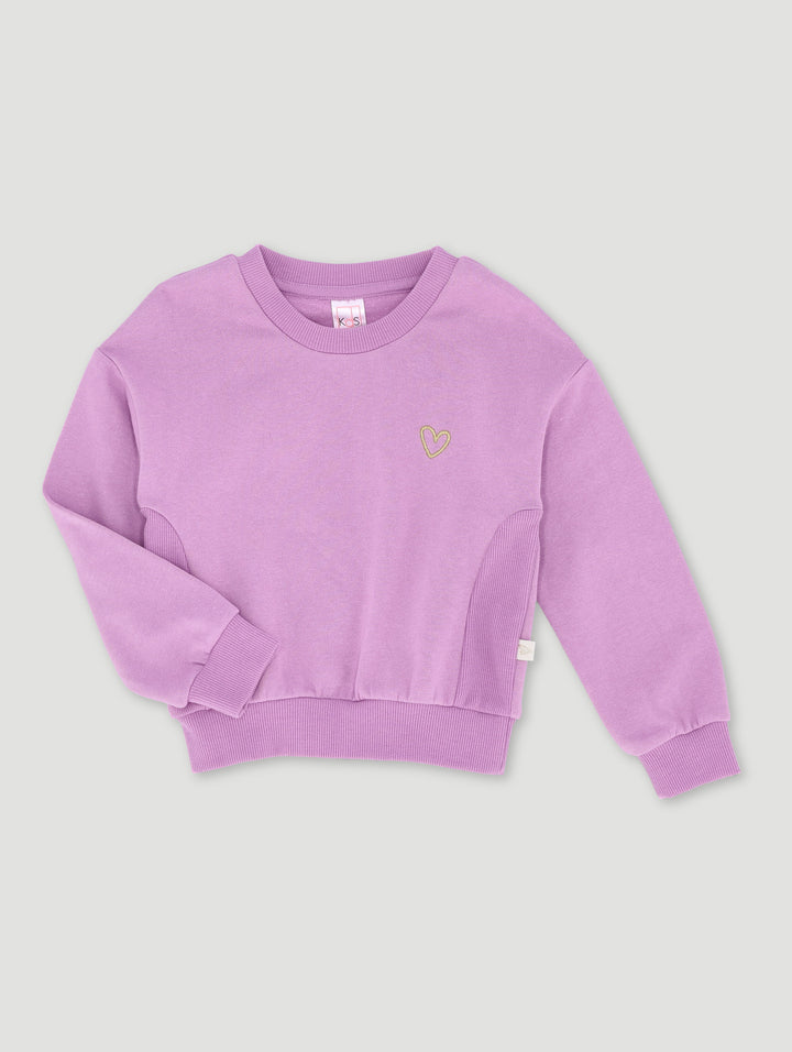 Pre-Girls Basic Track Top Panneled With Embroidery - Purple