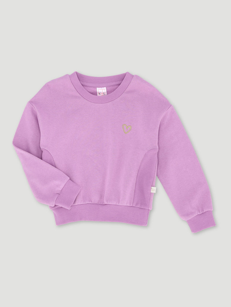 Pre-Girls Basic Track Top Panelled With Embroidery - Purple