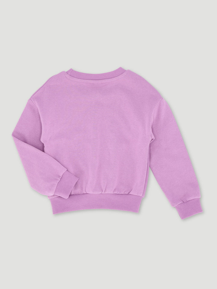 Pre-Girls Basic Track Top Panneled With Embroidery - Purple