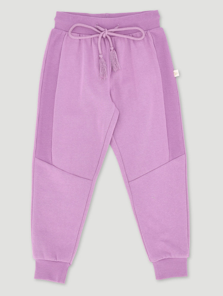 Pre-Girls Basic Jogger Panelled With Embroidery - Purple