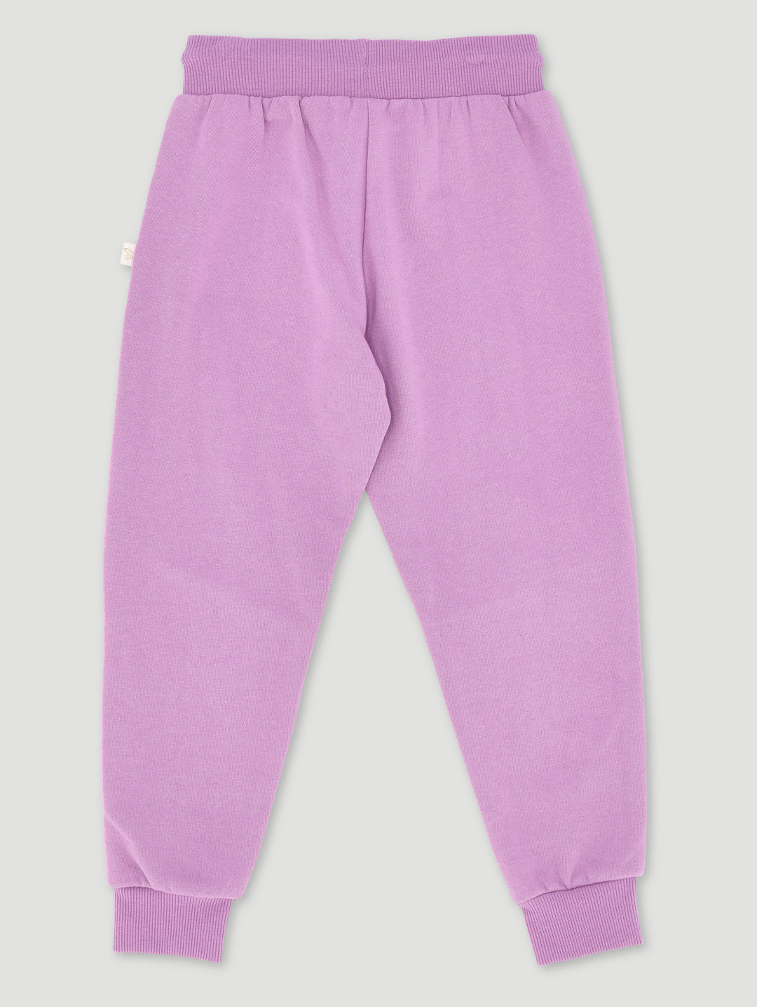 Pre-Girls Basic Jogger Panelled With Embroidery - Purple