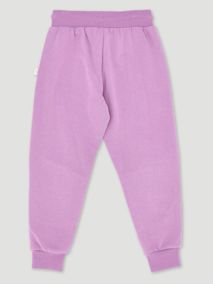 Pre-Girls Basic Jogger Panelled With Embroidery - Purple