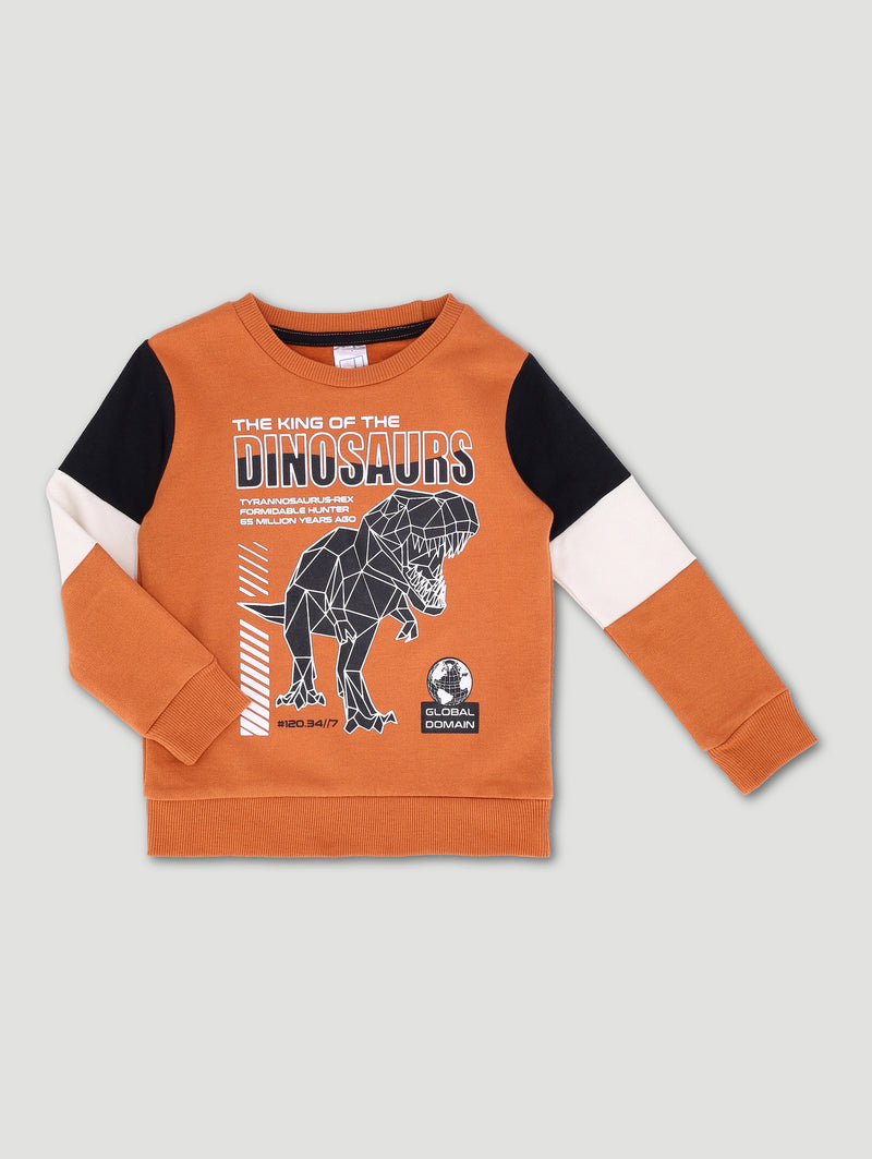 Pre-Boys Dino Colourblock Hoody - Rust