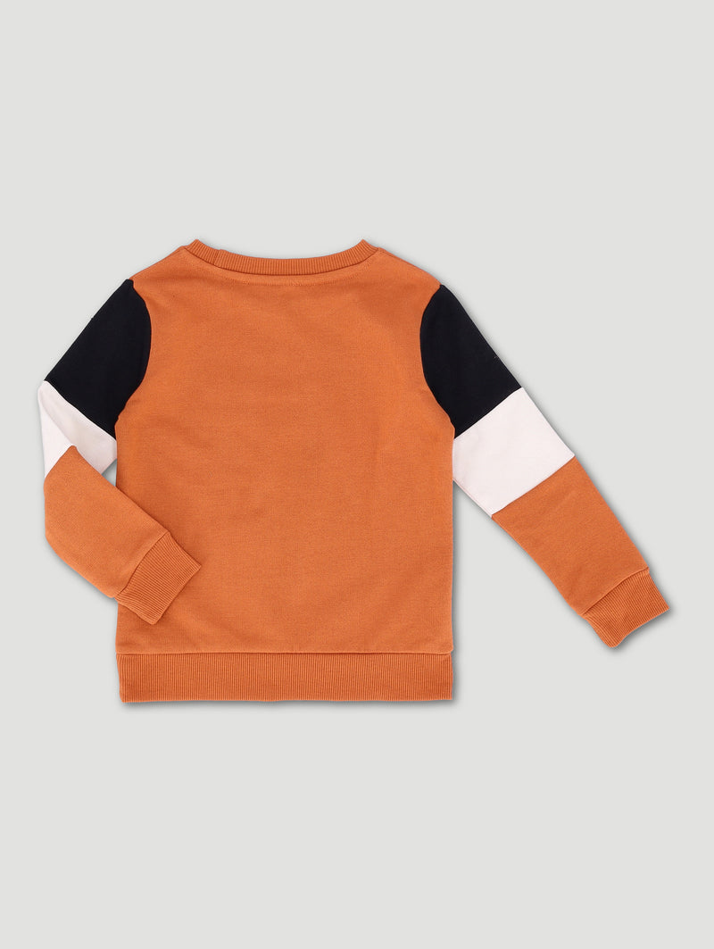 Pre-Boys Dino Colourblock Hoody - Rust
