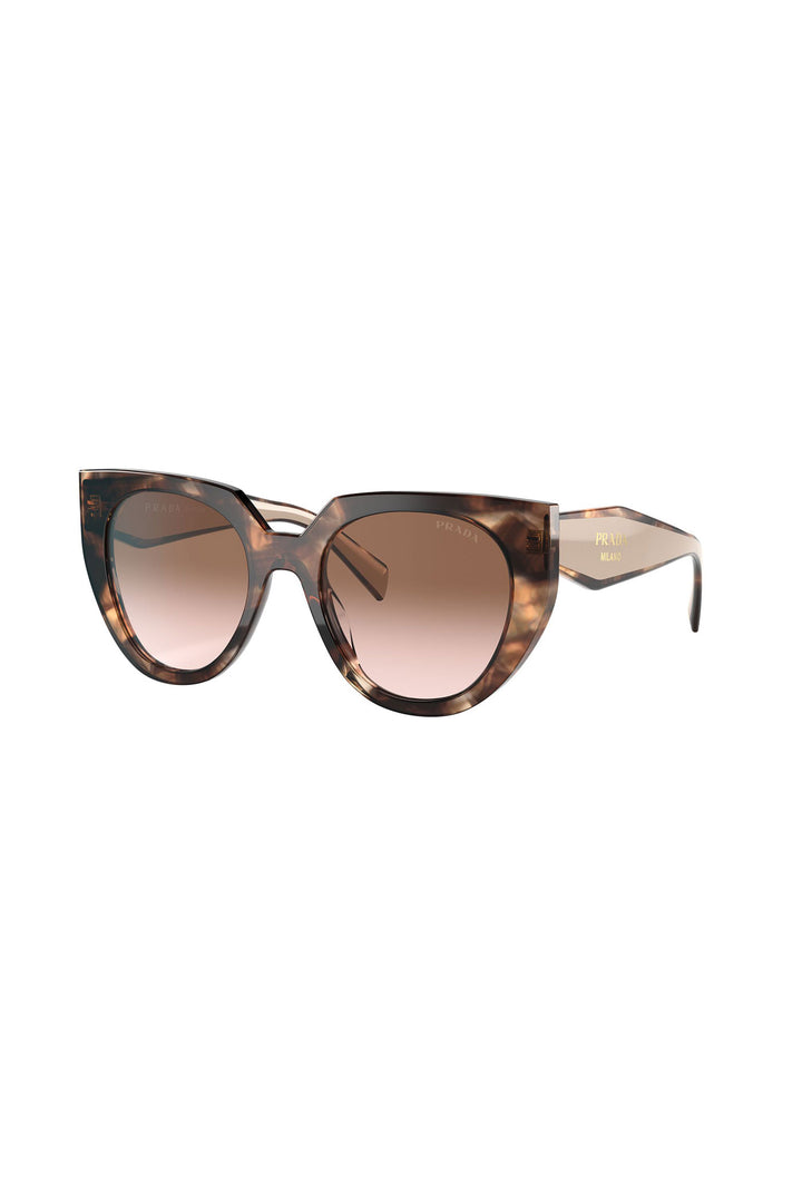 Rounded Frame Sunglasses - Tortoise Shell