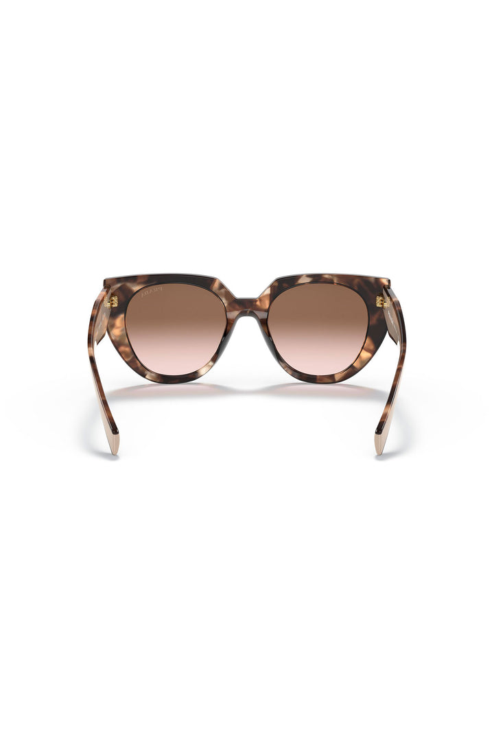 Rounded Frame Sunglasses - Tortoise Shell
