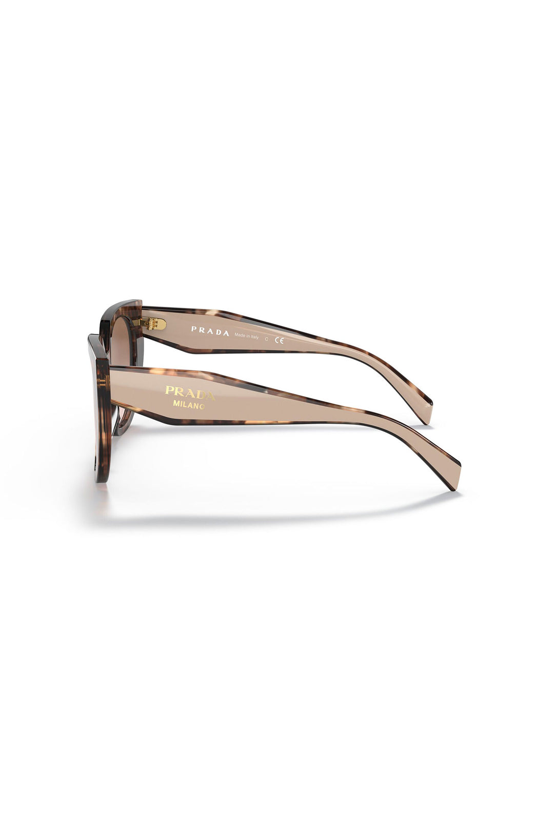 Rounded Frame Sunglasses - Tortoise Shell