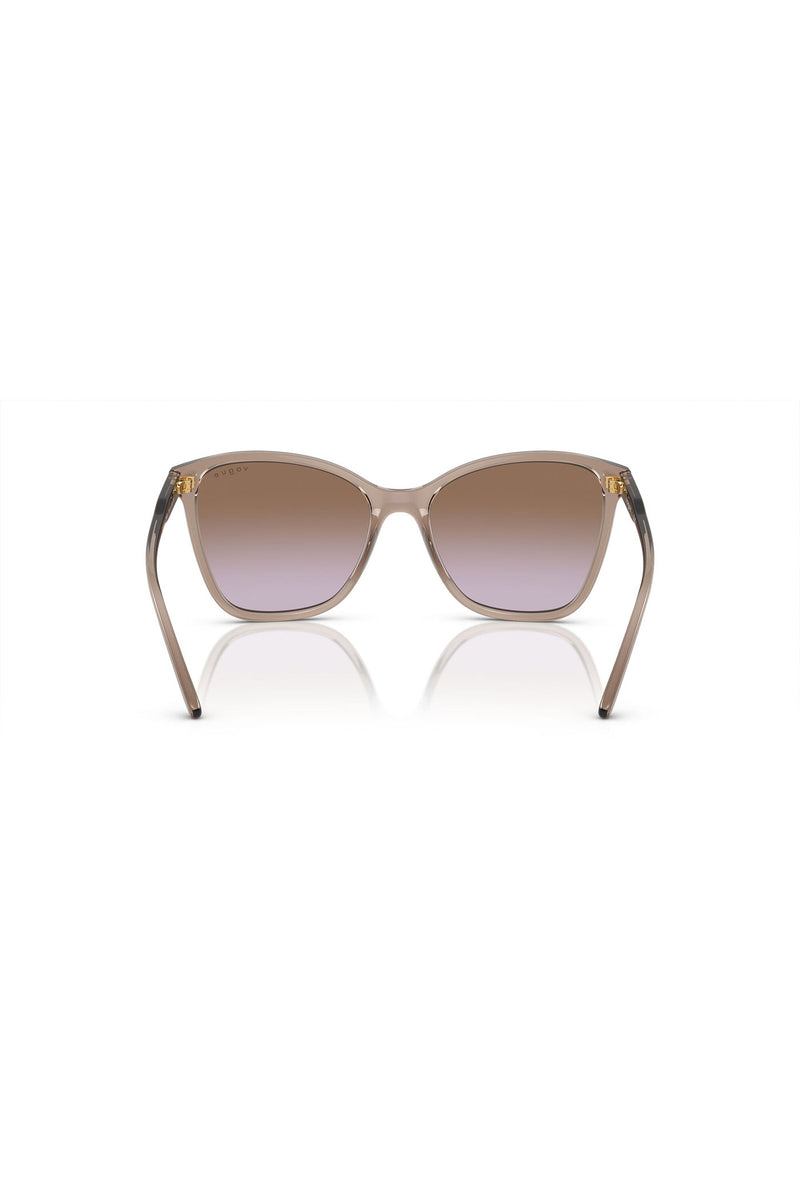 Transparent Caramel Butterfly Sunglasses - Brown