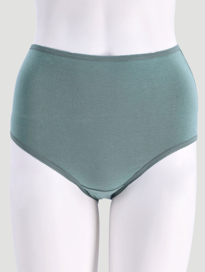 3 Pack Cotton Stretch Brief Panties - Navy/Rust/Sage