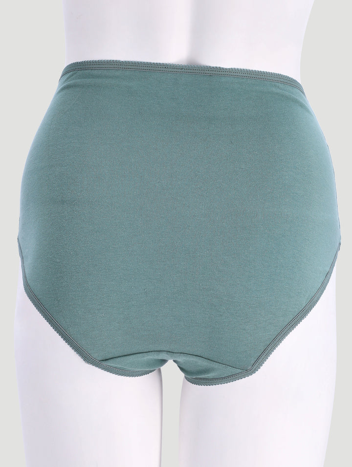 3 Pack Cotton Stretch Brief Panties - Navy/Rust/Sage