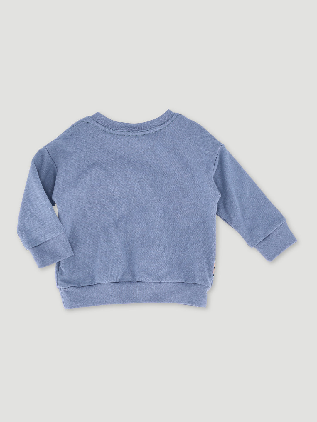 Baby Boys Lets Roar Fleece Top - Smokey Blue