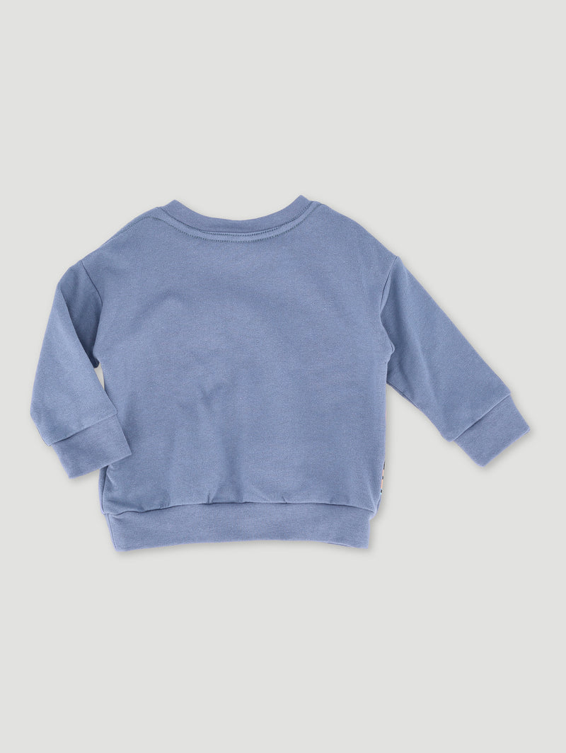 Baby Boys Lets Roar Fleece Top - Smokey Blue