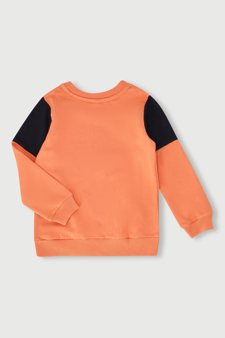Pre-Boys Gaming Colourblock Hoody - Rust