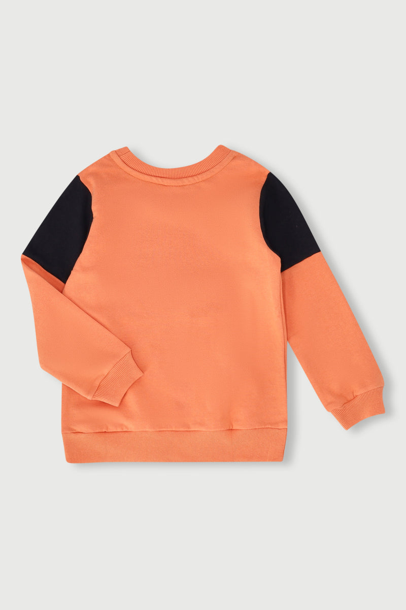 Pre-Boys Gaming Colourblock Hoody - Rust