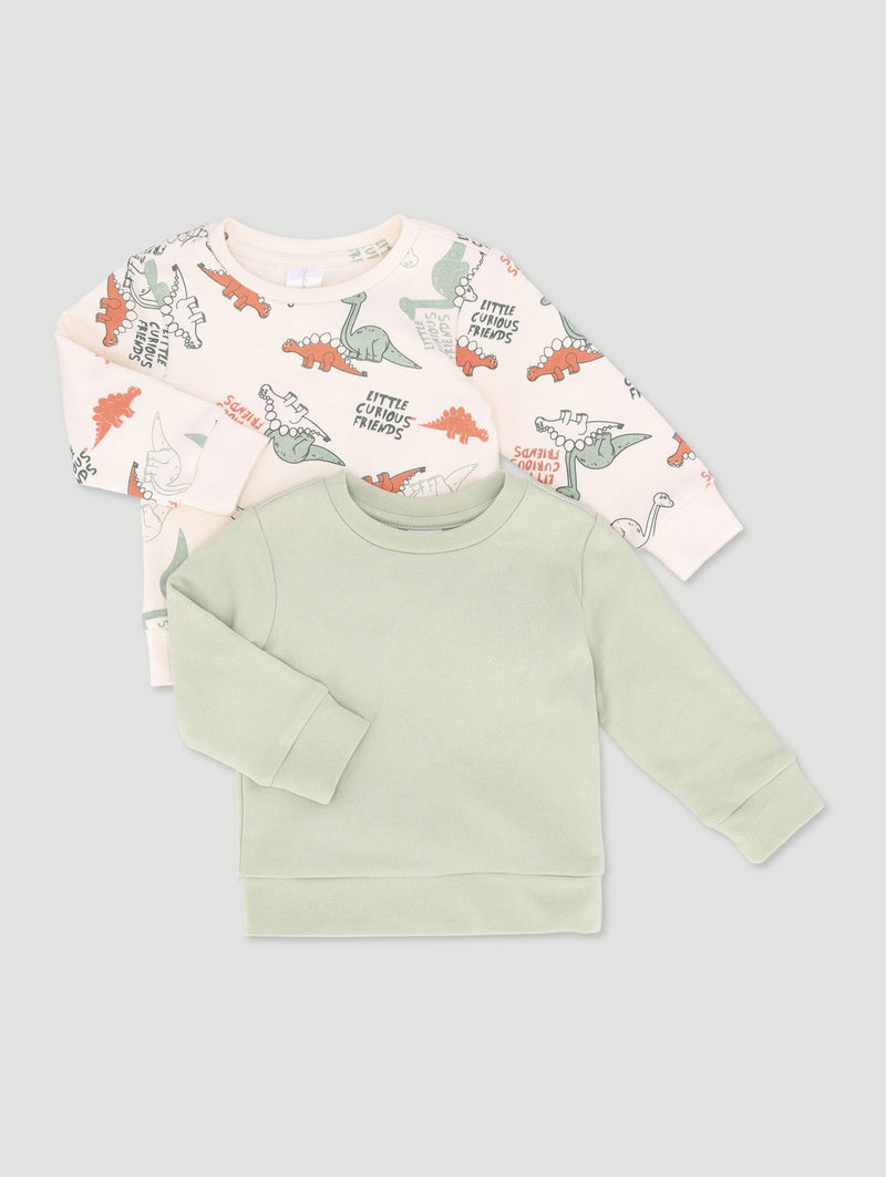 Baby Boys 2 Pack Dino Fleece Top